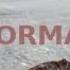 MC БАТЯ NORMALNO НОРМАЛЬНО 1 час REMIX