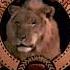 MGM Logo 2001 2008 Reversed
