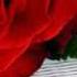 صلاح حسن انت الحب كل عام وانت العشق 2012