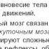 Головной мозг строение и функции