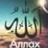 Allohning 99 Ismi 99 Names Of Allah 99 أسماء الله الحسنى 99 имен Аллаха