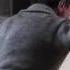 There Will Be Blood End Scene I Drink Your Milk Shake Drainage Eli You Boy