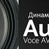 Распаковка динамиков Audison Voce AV X6 5