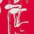 激荡三十年 043 上海经济的快速发展 吴晓波