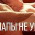 Алексей Чумаков Мамы Папы не умирают Cover By Демиденко Елена