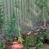 Growing A Greener World Episode 1110 Container Gardening Anywhere What To Know Before You Grow