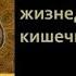 Биология 7 класс Урок 13
