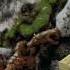 Hulk And Sand Man Pixel Art In Minecraft Shorts Minecraft Viral