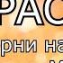 ТЫВА КАРАОКЕ Оннуктер найыралы Амырга Моос