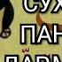 СУХАНХОЙ ПАНДОМЕЗ ДАР МАВРИДИ НАМОЗ