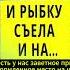 Рыбалка с тёщей удалась и рыбку съела и Интересные истории из жизни Аудиорассказ