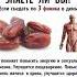 Знаете ли вы Если съедать по 3 финики в день