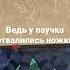 Сигма паукан в Minecraft автор Titwow