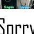 Super Junior Sorry Sorry Super Show 3 Remix Lyrics