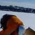 Best Of Snowkiting In USA 2015 Learn To Snowkite In Milwaukee And Chicago