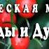 Варган магическая музыка природы и Духи Леса