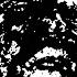 Down When I M Not Live In Los Angeles 11 11 22