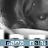 Майя Харт Папа AboutMe