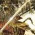 Set Sail And Conquer Alestorm