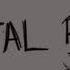 DIGITAL BATH ORIGINAL ANIMATIC
