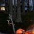 Звуки природы Костер в лесу Потрескивание костра Пение птиц Sounds Of Nature Bonfire In The Forest