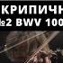 Иоганн Себастьян Бах Чакона из скрипичной партиты 2 BWV 1004 Классическая музыка