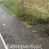 Майский снег в городе екатеринбург