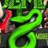 Main Slime Remix Feat Moneybagg Yo Tay Keith