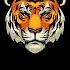 Tiger Dark Type Beat Dark Hip Hop Instrumental Free Type Beat