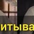Виктор Палыч антибиотик диалог с Мурадом