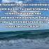Affrimations море Ocean аффирмации жизнь желание тор любовь счастье Dreambig Manifest