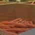 Food Banks Warn Of Trump Spending Bill Impacts