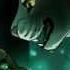 Most Evil Dark Forest Warrior Cats
