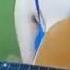 Gitara Mp3