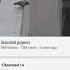 YouTube Why Did You Recommend Me A Suicidal Pigeon