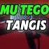 Tak Mileh Dewe Karaoke Intan Mandasari Karaokemixsong Laguviral Karaoke Lagujawa Cover