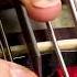 Bass Setup Secrets Revealed