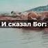 В третий день Земли создал Бог сушу и деревья и цветы Сливы яблони и груши бог библия молитва