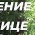 Избавление от боли в пояснице за 10 минут Йога для начинающих