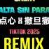 半点心 X 撒旦撒旦 DJ抖音版 2025 Salta Salta Sin Parar Remix Tiktok Hot Tiktok DouyinGTR7 半点心 撒旦撒旦