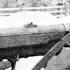 The Retreat And The Battle Of The Luga River The Battle Of Narva 1944 Ep 2