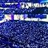 BTS Armys Singing Song Love Is Gone