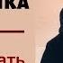 Проверяем поставщика Как распознать мошенников