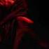 Lenny Kravitz Let It Ride Kungs Remix Official Audio