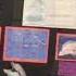 Kindergarten Animal Research Projects Girls