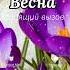 Возьми трубку весна звонит