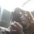 Lil Uzi Vert Pour Me Numb LQ Full Song