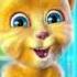 Talking Ginger I Need You K Will