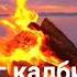 Аел калби