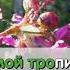 шумел камыш караоке